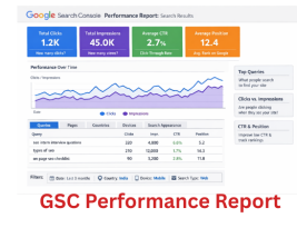 Why Google Search Console Performance Report Is Important for SEO Beginners